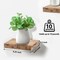 Set of 3 (9") Sorbus Square Floating Shelves with Invisible Mounting Brackets for Living Room Decor, Bedroom, Bathroom Decor, Home & Kitchen